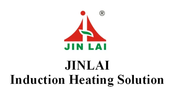 Jinlai 熱い販売高品質 3KW 誘導溶接機